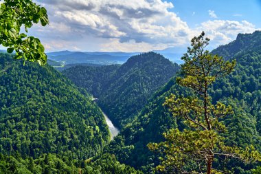 Sokolica ve Trzy Korony 'den güneşli bir günde Polonya' nın Pieniny Ulusal Parkı 'nın güzel panoramik manzarası - İngilizce: Three Crowns (Üç Crowns Massif Zirvesi) on the Dunajec River