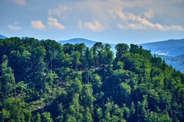 Belle Vue Aérienne Panoramique Sur Parc National Pieniny Pologne Par — Photo