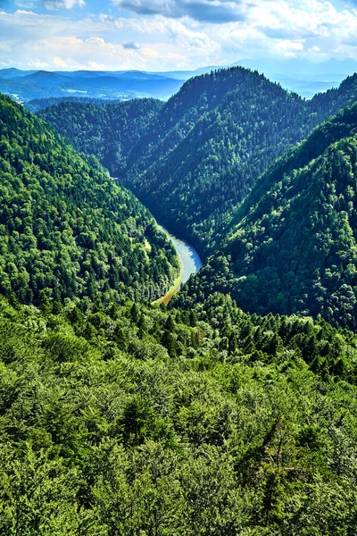 Bella Vista Aerea Panoramica Del Parco Nazionale Pieniny Polonia Giornata — Foto Stock