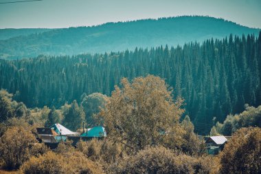 Zimovjo, Bystrukha, Sekisovka Doğu Kazakistan KAZAKHSTAN (QAZAQSTAN))