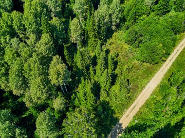 Doğu Kazakistan 'daki Zimovyo yakınlarındaki uçsuz bucaksız Tayga ormanının çarpıcı yüksek açılı panoramik drone görüntüsü. Görüntü, kozalaklı ağaçların sonsuz yeşil gölgesini, dolambaçlı toprak yolu ve soğuk algınlığı ile aydınlık bir yaz gökyüzünün altında uzanan uzak dağ sıralarını yakalıyor.