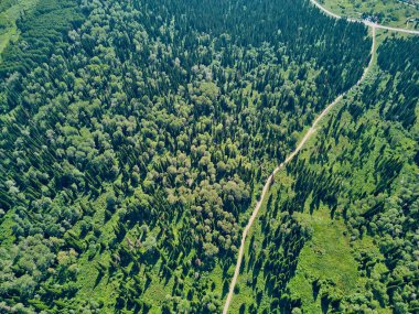 Doğu Kazakistan 'daki Zimovyo yakınlarındaki uçsuz bucaksız Tayga ormanının çarpıcı yüksek açılı panoramik drone görüntüsü. Görüntü, kozalaklı ağaçların sonsuz yeşil gölgesini, dolambaçlı toprak yolu ve soğuk algınlığı ile aydınlık bir yaz gökyüzünün altında uzanan uzak dağ sıralarını yakalıyor.