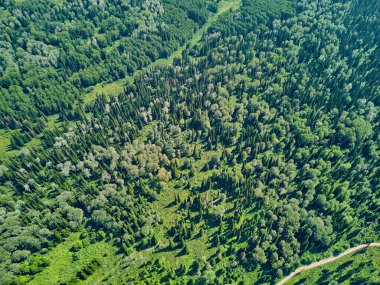 Doğu Kazakistan 'daki Zimovyo yakınlarındaki uçsuz bucaksız Tayga ormanının çarpıcı yüksek açılı panoramik drone görüntüsü. Görüntü, kozalaklı ağaçların sonsuz yeşil gölgesini, dolambaçlı toprak yolu ve soğuk algınlığı ile aydınlık bir yaz gökyüzünün altında uzanan uzak dağ sıralarını yakalıyor.