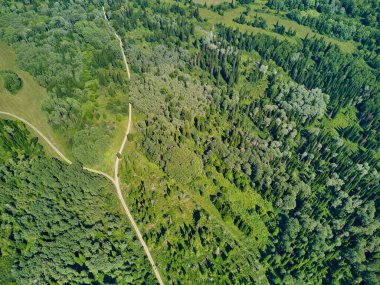 Doğu Kazakistan 'daki Zimovyo yakınlarındaki uçsuz bucaksız Tayga ormanının çarpıcı yüksek açılı panoramik drone görüntüsü. Görüntü, kozalaklı ağaçların sonsuz yeşil gölgesini, dolambaçlı toprak yolu ve soğuk algınlığı ile aydınlık bir yaz gökyüzünün altında uzanan uzak dağ sıralarını yakalıyor.