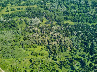 Doğu Kazakistan 'daki Zimovyo yakınlarındaki uçsuz bucaksız Tayga ormanının çarpıcı yüksek açılı panoramik drone görüntüsü. Görüntü, kozalaklı ağaçların sonsuz yeşil gölgesini, dolambaçlı toprak yolu ve soğuk algınlığı ile aydınlık bir yaz gökyüzünün altında uzanan uzak dağ sıralarını yakalıyor.