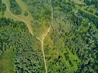 Doğu Kazakistan 'daki Zimovyo yakınlarındaki uçsuz bucaksız Tayga ormanının çarpıcı yüksek açılı panoramik drone görüntüsü. Görüntü, kozalaklı ağaçların sonsuz yeşil gölgesini, dolambaçlı toprak yolu ve soğuk algınlığı ile aydınlık bir yaz gökyüzünün altında uzanan uzak dağ sıralarını yakalıyor.