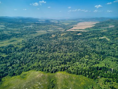 Doğu Kazakistan 'daki Zimovyo yakınlarındaki uçsuz bucaksız Tayga ormanının çarpıcı yüksek açılı panoramik drone görüntüsü. Görüntü, kozalaklı ağaçların sonsuz yeşil gölgesini, dolambaçlı toprak yolu ve soğuk algınlığı ile aydınlık bir yaz gökyüzünün altında uzanan uzak dağ sıralarını yakalıyor.
