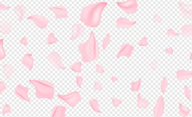 Gül yaprakları. Çiçeklerin açtığı bahar pembesi ve çiçek açan ağaçlarla dolu güzel bir sahnede Nisan çiçekleri. Paskalya güneşli bir gün. Meyve bahçesi arkaplanı bulanık. İlkbahar.