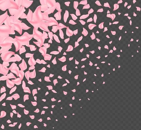 Bordure printanière, floraison printanière et nature florale d'avril sur fond rose. Branches de floraison abricot macro avec mise au point douce. Pour les cartes de vœux de Pâques et de printemps avec espace de copie. Printemps. — Image vectorielle
