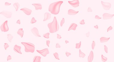 Yapraklar uçuşuyor. Bahar çiçeği. Çiçekler ve Nisan çiçekleri pembe arka planda. Yumuşak odaklı, çiçek açan kayısı makrosu dalları. Kopya alanı olan Paskalya ve bahar tebrik kartları için.