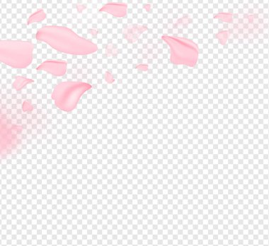 Yapraklar dökülüyor. Nisan çiçekleri. Bahar çiçekleri ve pembe çiçekler. Sancak olarak, arka planda çiçek açan kiraz dalları. Rüya gibi romantik resim, manzara, kopyalama alanı.