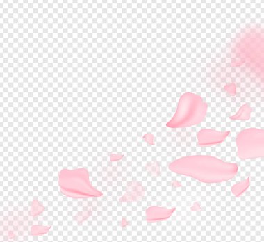 Yapraklar dökülüyor. Nisan çiçekleri. Bahar çiçekleri ve pembe çiçekler. Sancak olarak, arka planda çiçek açan kiraz dalları. Rüya gibi romantik resim, manzara, kopyalama alanı.