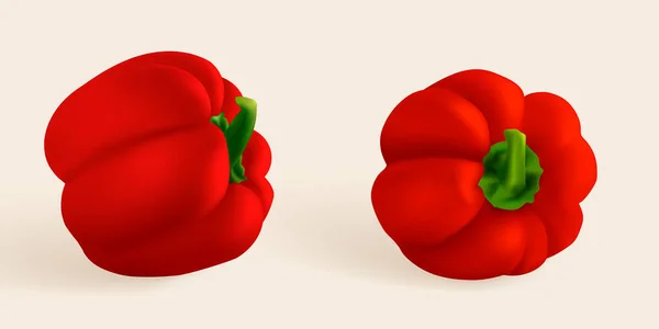 Paprika capsicum вид сверху paprika изолирован. Сладкий поппер, венгерский перец и всё такое. Векторная иллюстрация Capsicum habanero. — стоковый вектор