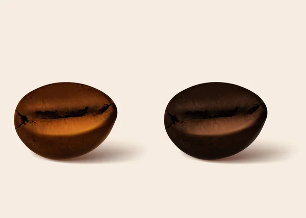 Grãos de café, grãos de café realista. Mostrando vários estágios de torrefação. Composição que descreve o aroma do café. — Vetor de Stock