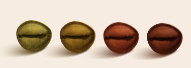 Renkli bir arka planda kavrulmuş kahve. Kavrulmanın çeşitli aşamalarını gösteren gerçekçi bir set.