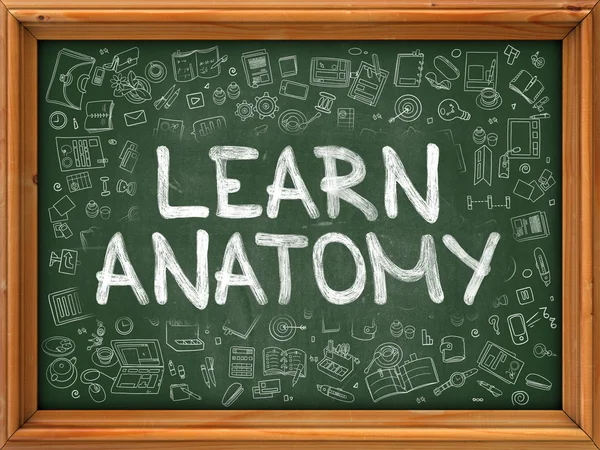 Nauč se anatomie. Ikony doodle na tabuli. — Stock fotografie