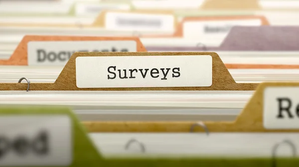 Surveys on Business Folder in Catalog. — Stock Photo, Image