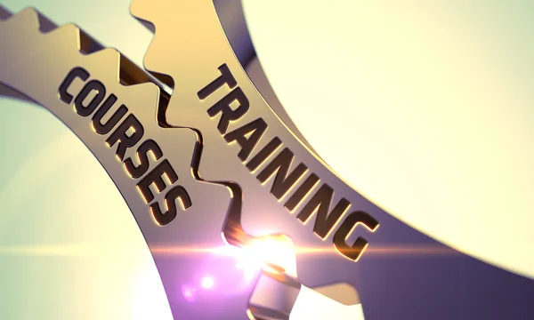 Training Courses on the Golden Gears. — Stock Photo, Image