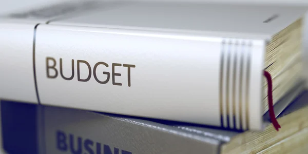 Budget-Business boektitel. — Stockfoto