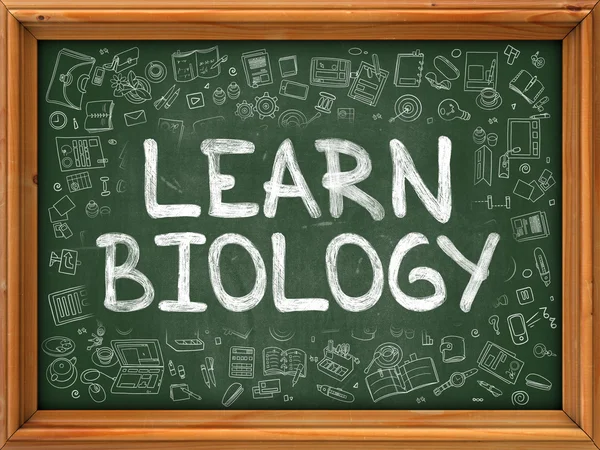 Leer biologie concept. Groene schoolbord met doodle pictogrammen. — Stockfoto