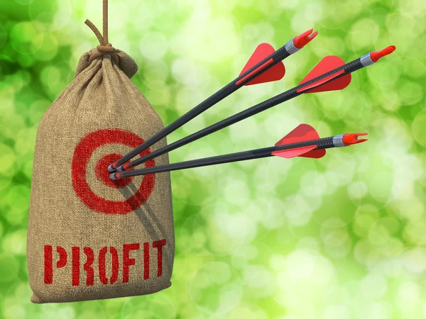 Profit - Arrows Hit in Red Mark Target. — Stock Photo, Image