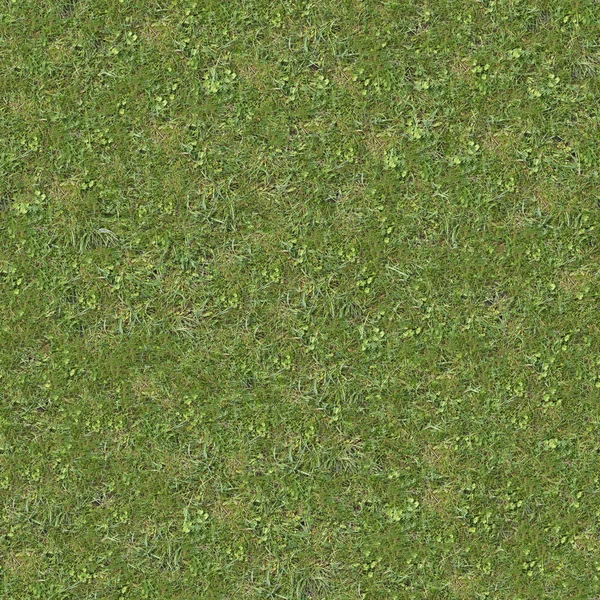 Green Lawn Grass. Textura sin costura . —  Fotos de Stock