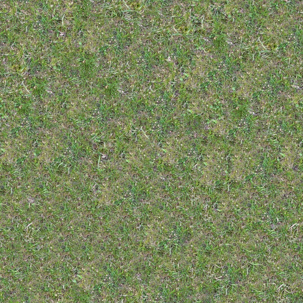 Grassplot med grönt och gulnade gräs. — Stockfoto