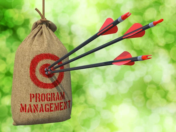 Program Management - nyilak megüt a vörös cél. — Stock Fotó