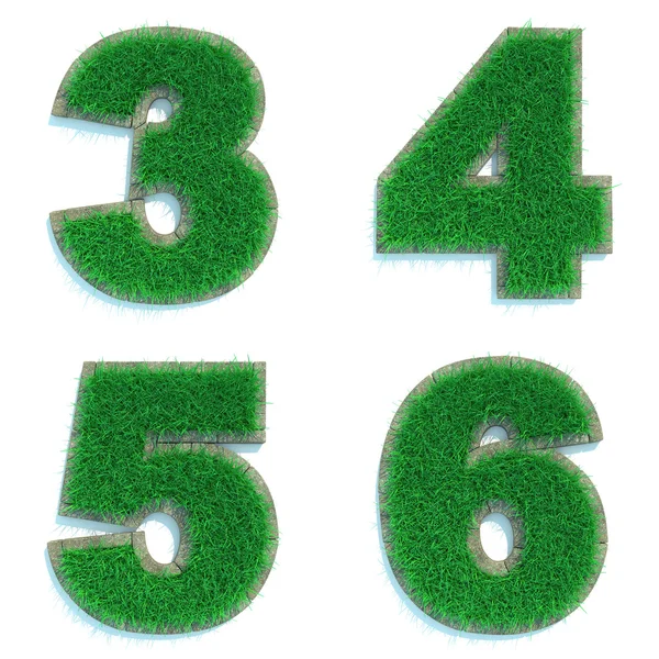 Digits 3, 4, 5, 6 of Green Lawn. — Stock Photo, Image