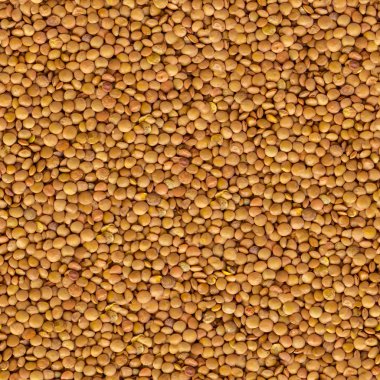 Mercimek sarı eşit olarak arka plan katmanı.