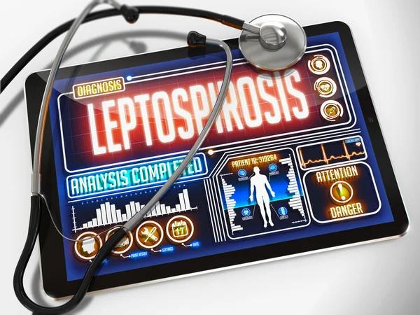 Leptospirosis Diagnosis on the Display of Medical Tablet. — Stock Photo, Image