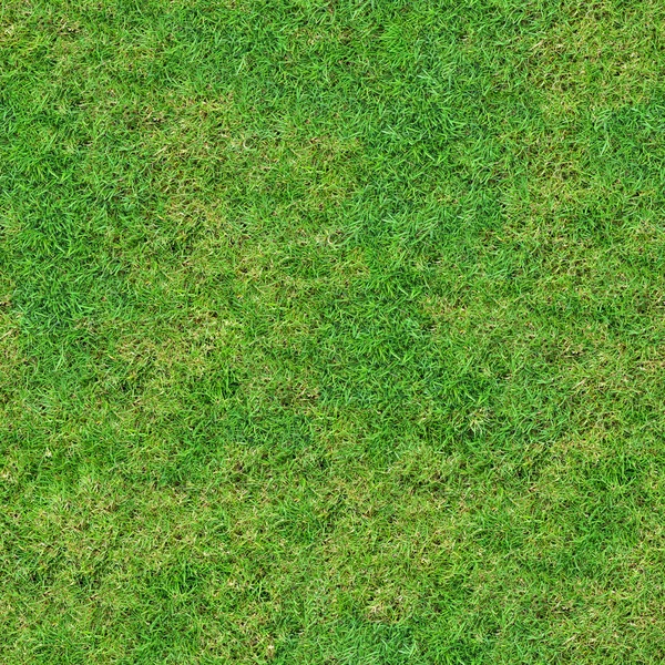 녹색 신선한 풀밭 초원. — 스톡 사진