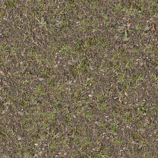 Dirt And Grass Texture Seamless