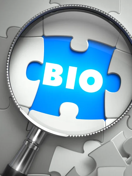 BIO - Puzzle with Missing Piece through Loupe. — Stock Photo, Image