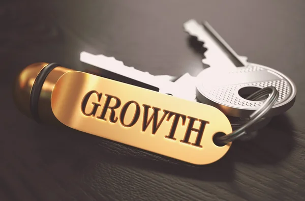 Keys to Growth. Concept on Golden Keychain. — Stock Photo, Image