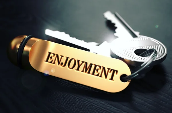 Enjoyment written on Golden Keyring. — Stock Photo, Image