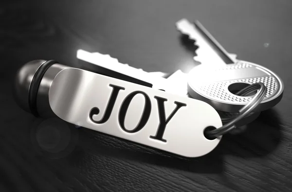 Joy Concept. Chiavi con portachiavi . — Foto Stock