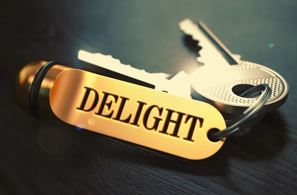 Delight Concept. Chaves com chaveiro dourado . — Fotografia de Stock