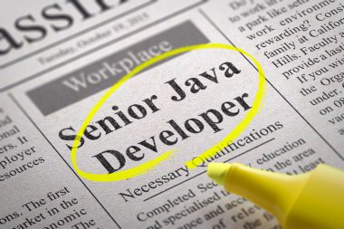 Senior Java Developer Vacancy in Newspaper.