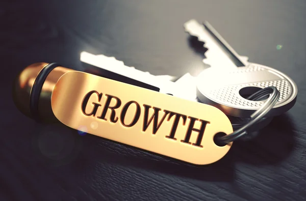 Keys to Growth. Concept on Golden Keychain. — Stock Photo, Image