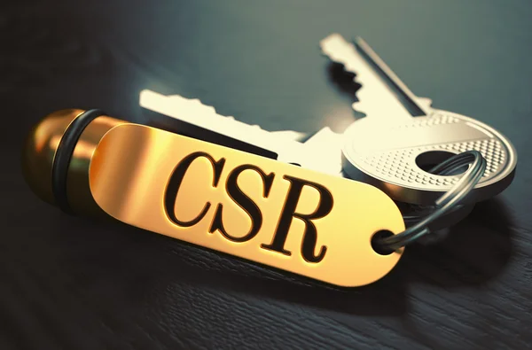 CSR - Bunch of Keys with Text on Golden Keychain. — Stockfoto