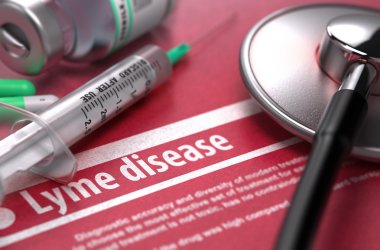 Lyme hastalığı. Kırmızı zemin üzerine tıp kavramı.