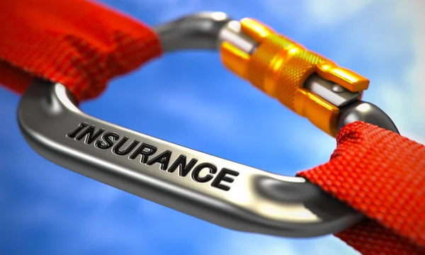Chrome Carabiner with Text Insurance. — стокове фото