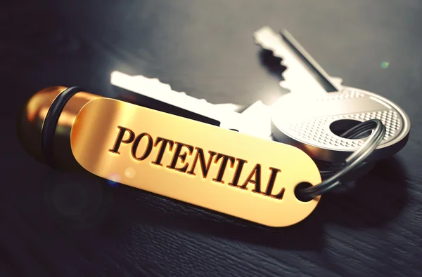 Potential - Bunch of Keys with Text on Golden Keychain. — Zdjęcie stockowe