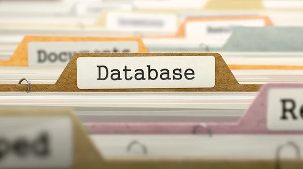 Concetto di database. Cartelle nel catalogo . — Foto Stock