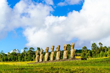 Moai at Ahu Akivi clipart
