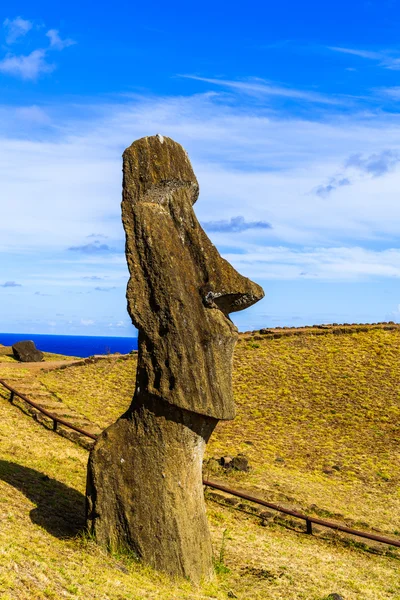 Moai Rano Raraku ocağında — Stok fotoğraf