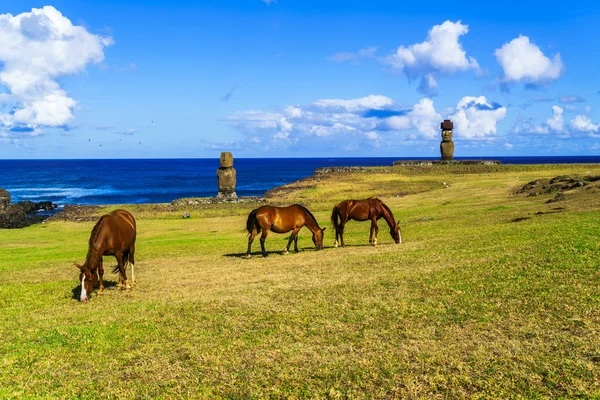 Koně pasoucí se na Ahu Tahai a Ahu Ko Te Riku — Stock fotografie