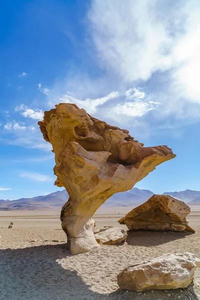 Árbol de piedra — Foto de Stock