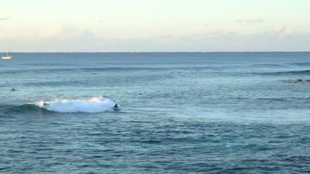 Surfers, surfen in de Stille Oceaan op Paaseiland — Stockvideo